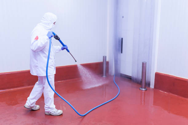 Boat and Dock Cleaning in Concordia, NJ
